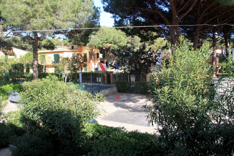 Il Gabbiano Primo piano